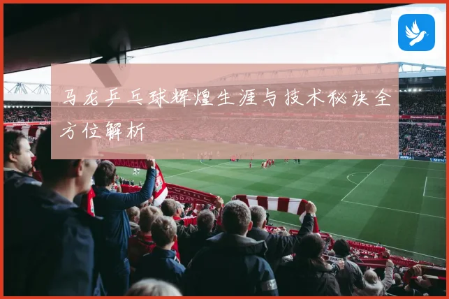 马龙乒乓球辉煌生涯与技术秘诀全方位解析