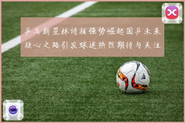 乒乓新星林诗栋强势崛起国乒未来核心之路引发球迷热烈期待与关注