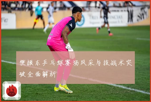 樊振东乒乓球赛场风采与技战术突破全面解析