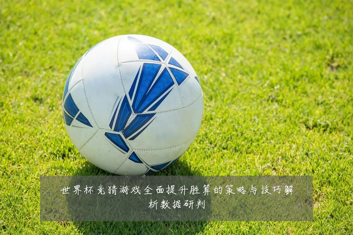 世界杯竞猜游戏全面提升胜算的策略与技巧解析数据研判