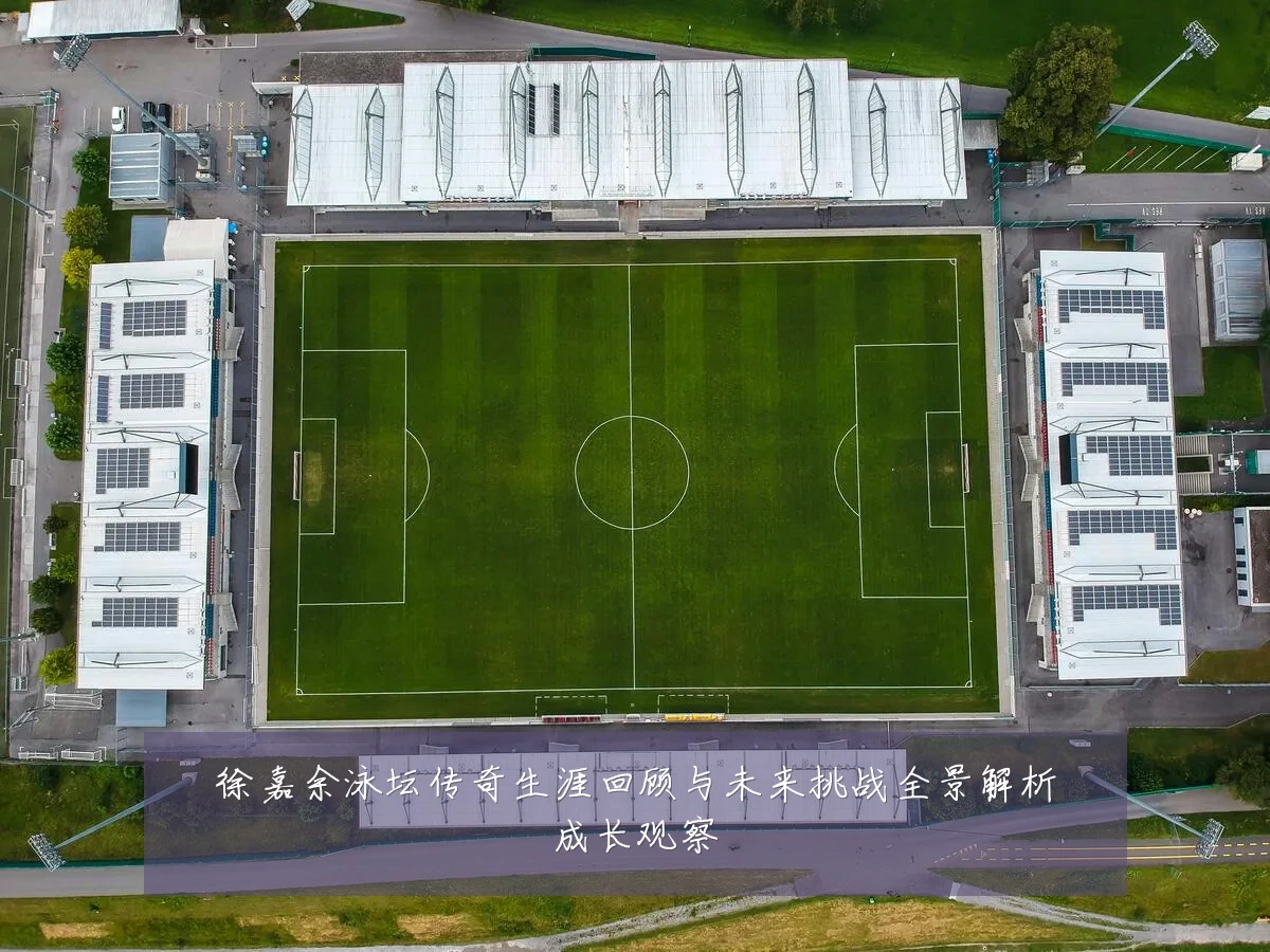 徐嘉余泳坛传奇生涯回顾与未来挑战全景解析成长观察