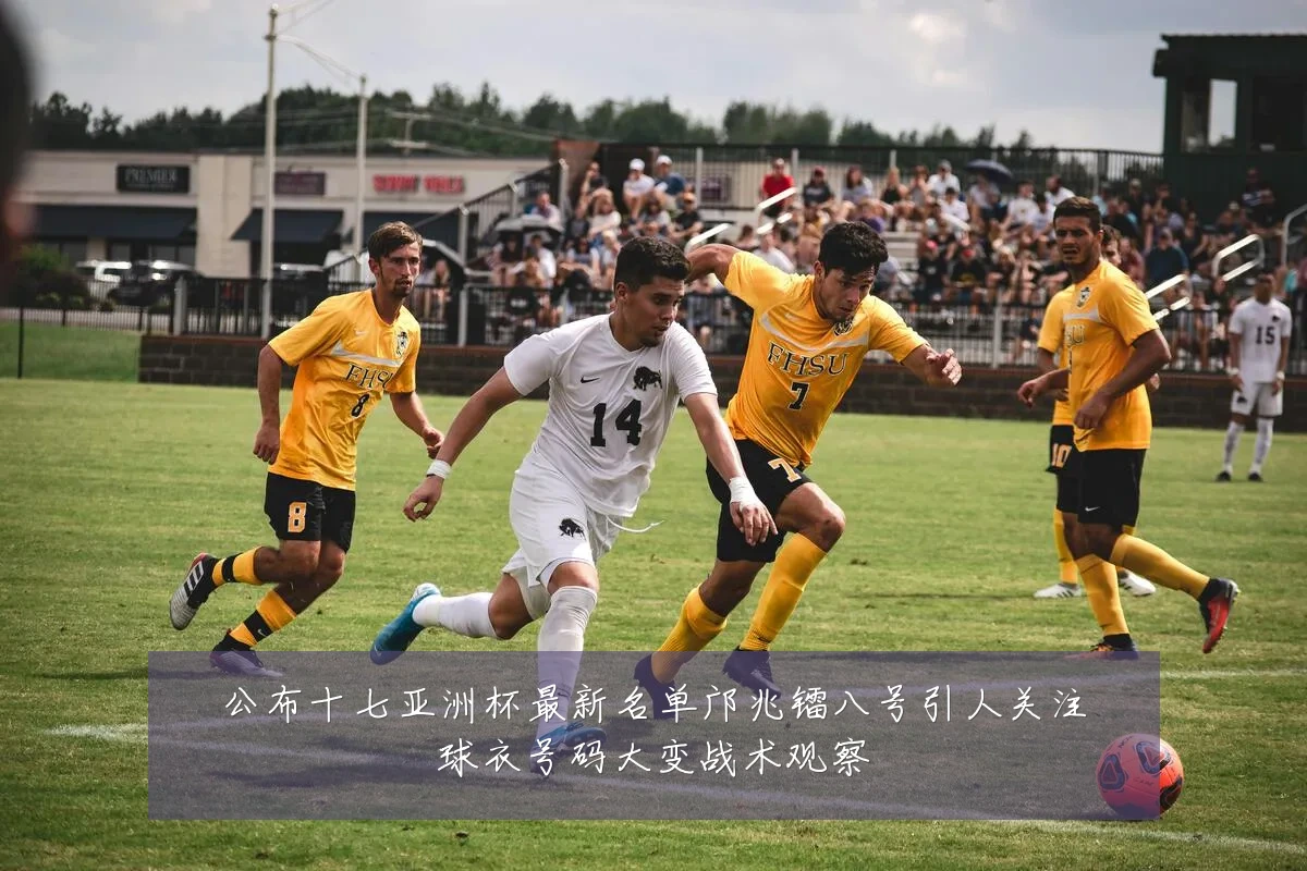 公布十七亚洲杯最新名单邝兆镭八号引人关注球衣号码大变战术观察